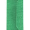 Carpeta para predicar con tratados del modelo Croco green